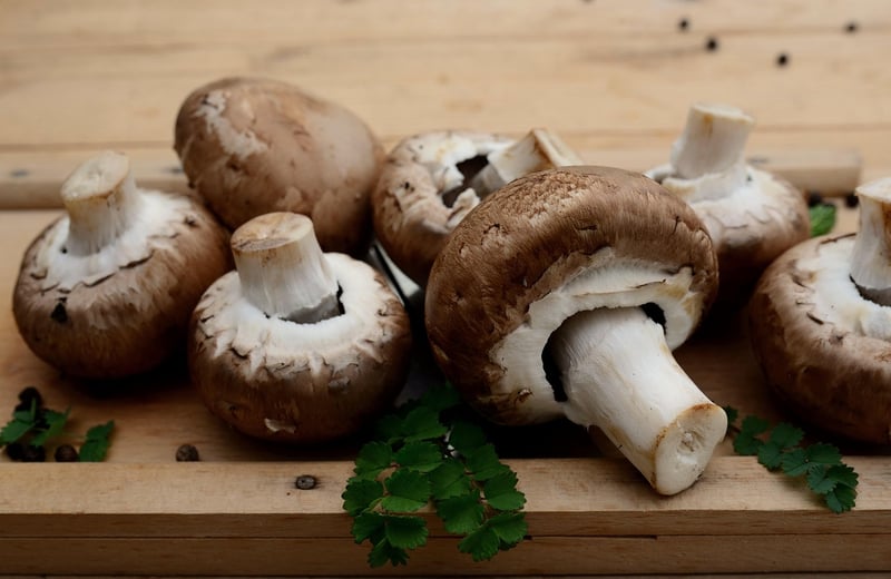 Ingredient Know-How
