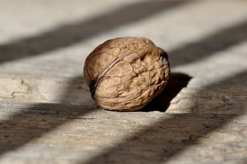 Roasted Nuts
