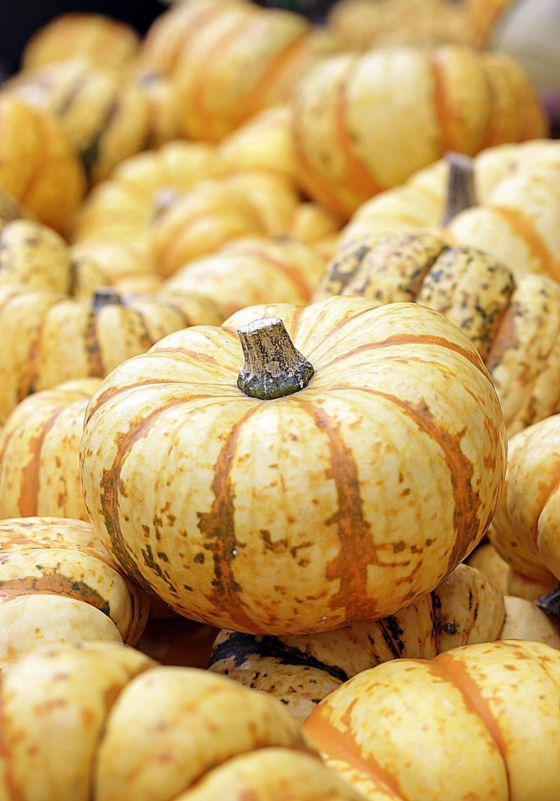 Pumpkin